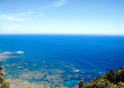 奄美は今、夏本番