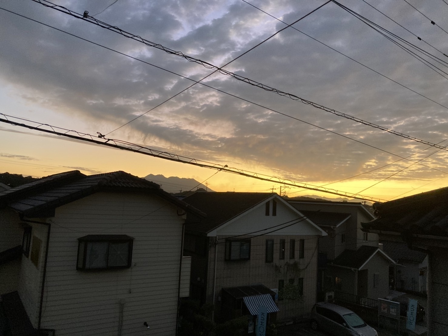 支部ﾛｸﾞ11月鹿４写真③